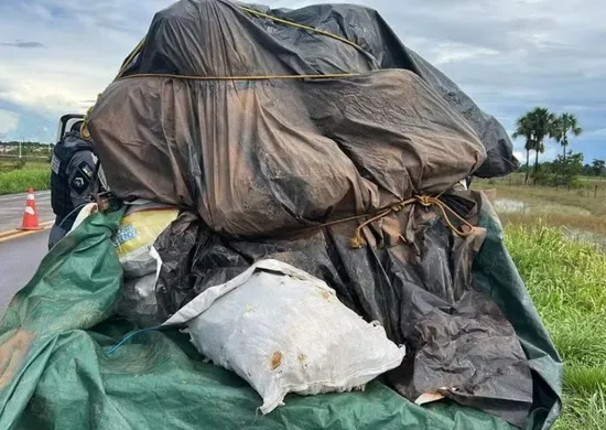 Imagem ilustrativa da imagem Quatro são presos com carga de grude de peixe avaliada em R$ 1 mi no Amapá