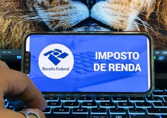 Imagem ilustrativa da imagem Receita abre consulta a lote da malha fina do Imposto de Renda