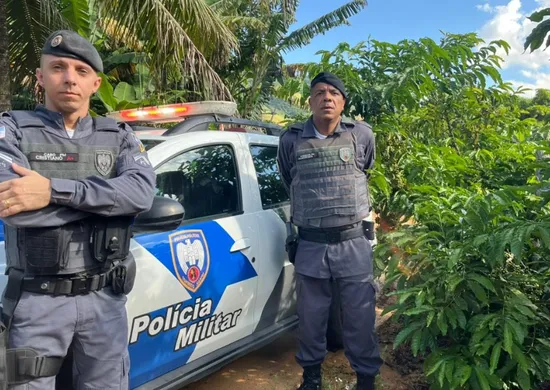 Imagem ilustrativa da imagem Segurança reforçada para evitar roubos em período de colheita do café