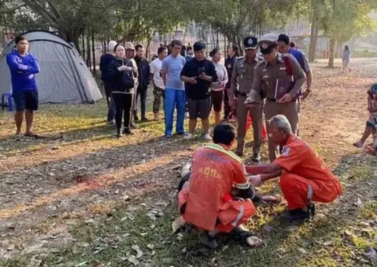 Imagem ilustrativa da imagem Turista morre pisoteado por elefante em parque nacional na Tailândia