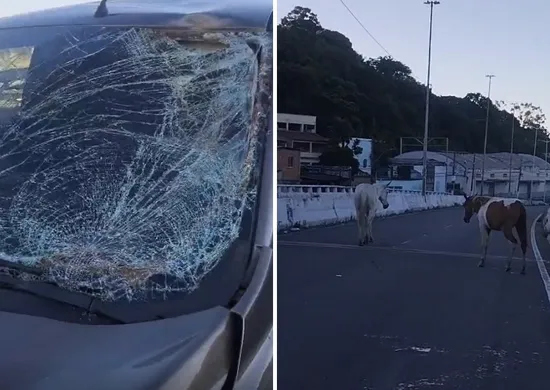 Imagem ilustrativa da imagem VÍDEO | Carro fica destruído após atropelar cavalos na descida da Segunda Ponte