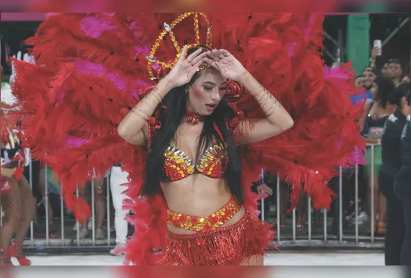 Imagem ilustrativa da imagem Campeã do carnaval capixaba será conhecida hoje