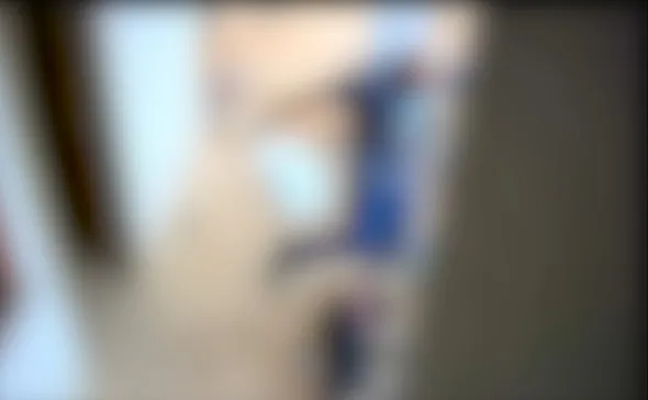 Imagem ilustrativa da imagem Homem que matou pitbull com cabo de enxada em Vila Velha é indiciado