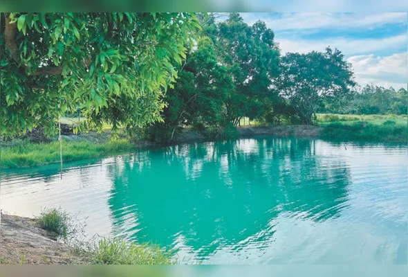 Imagem ilustrativa da imagem Itapemirim além das praias: conheça as atrações turísticas da cidade