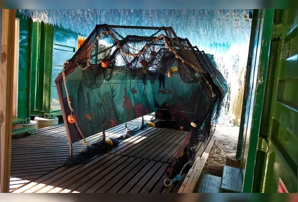 Exposição tem foco na conscientização ambiental