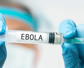 Imagem ilustrativa da imagem Congo confirma 100 mortes por ebola e seis norte-americanos são monitorados