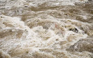 Imagem ilustrativa da imagem Rios Sirinhaém e Capibaribe Mirim entram em alerta para inundação em Pernambuco