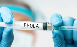 Imagem ilustrativa da imagem Congo confirma 100 mortes por ebola e seis norte-americanos são monitorados