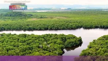 09/05/2026 - Assista agora ao Caçadores de Destinos deste sábado