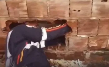 Imagem ilustrativa da imagem Bebê é encontrado abandonado entre muros de casas na Paraíba
