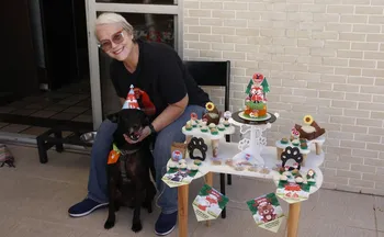 Imagem ilustrativa da imagem Bolos, doces e até cachorro-quente em festa de pet