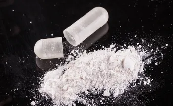 Imagem ilustrativa da imagem Polícia de Portugal prende dois brasileiros sob suspeita de tráfico de uma tonelada