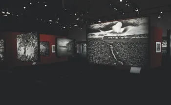 Imagem ilustrativa da imagem Seu programa: 27 mil pessoas já visitaram exposição do Cais das Artes