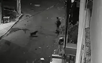 Imagem ilustrativa da imagem VÍDEO | Mulher é atacada por pitbull em rua de Cariacica; vítima está hospitalizada
