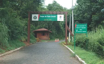 Imagem ilustrativa da imagem Vitória terá caminhada noturna no Parque da Fonte Grande no Dia da Mata Atlântica