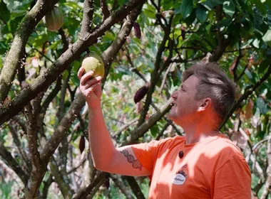 Imagem ilustrativa da imagem De floresta de cacau a produção de cerveja artesanal em Santa Tereza