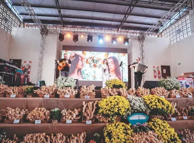 Imagem ilustrativa da imagem Festa do gengibre com shows de graça e delícias