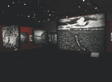 Imagem ilustrativa da imagem Seu programa: 27 mil pessoas já visitaram exposição do Cais das Artes