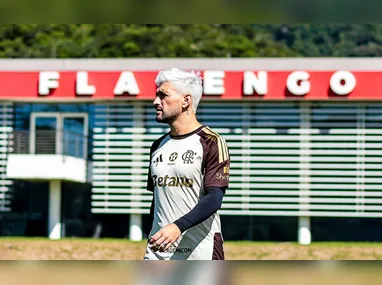 Pedido de suspensão dos direitos políticos da Eagle feito pela SAF foi uma estratégia para evitar que a Bidco assumisse o controle da SAF