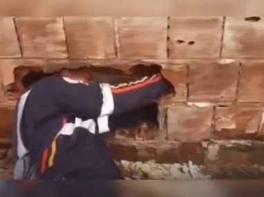 Imagem ilustrativa da imagem Bebê é encontrado abandonado entre muros de casas na Paraíba