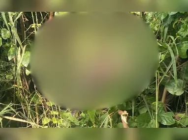Motoboy foi agredido por genro de moradora da Praia do Canto