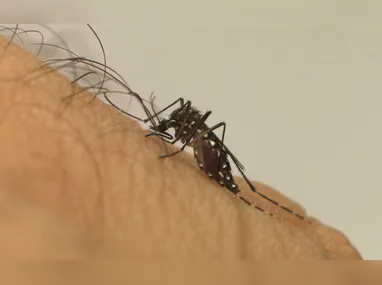 Problemas foram identificados em lotes específicos de produtos fabricados pelos laboratórios Hypofarma e Cimed
