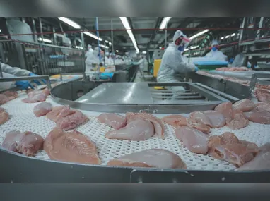 Imagem ilustrativa da imagem Governo do ES estuda doar área para instalação de abatedouro de aves