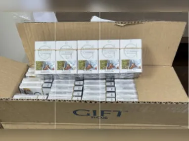 Imagem ilustrativa da imagem Operação contra comércio de cigarros clandestinos no ES apreende mais de R$ 65 mil