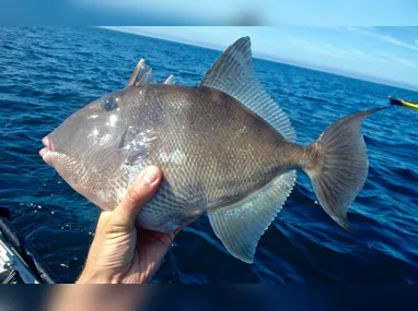 O ministro Alexandre de Moraes durante sessão do STF