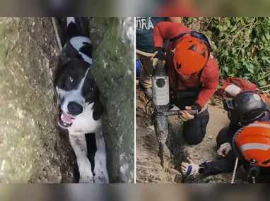 Após a aplicação do medicamento, paciente foi levado de helicóptero até um hospital em Vila Velha