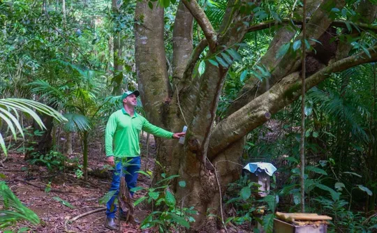 Imagem ilustrativa da imagem Crédito de carbono: agricultores vão receber para proteger a natureza