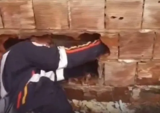 Imagem ilustrativa da imagem Bebê é encontrado abandonado entre muros de casas na Paraíba