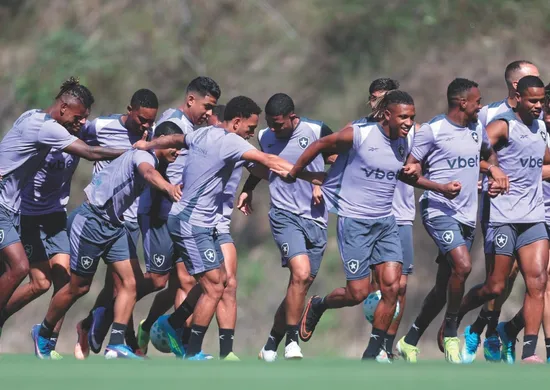 Imagem ilustrativa da imagem Em vantagem, Botafogo joga pela classificação e paz em meio a transfer ban