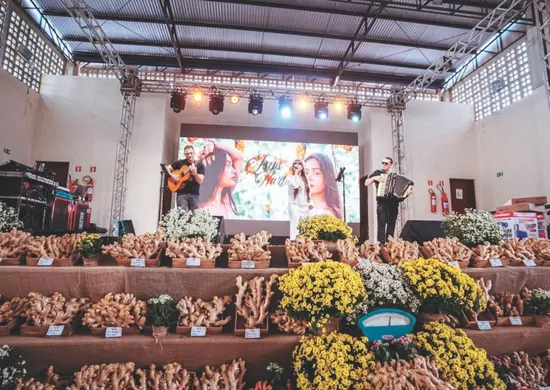 Imagem ilustrativa da imagem Festa do gengibre com shows de graça e delícias
