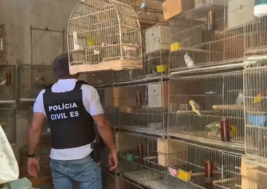 Imagem ilustrativa da imagem Operação fecha criadouro clandestino e resgata mais de 250 animais na Serra