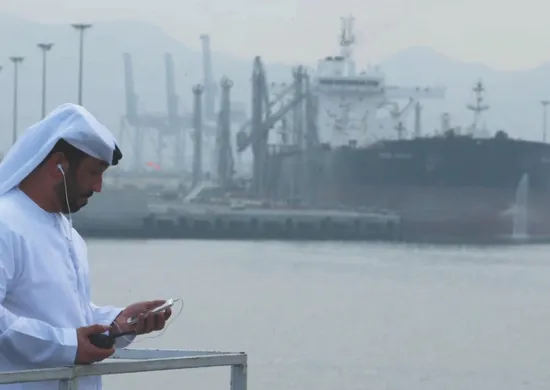 Imagem ilustrativa da imagem Saída do Emirados Árabes da Opep: qual será o impacto para o mundo?