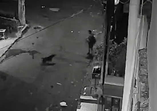 Imagem ilustrativa da imagem VÍDEO | Mulher é atacada por pitbull em rua de Cariacica; vítima está hospitalizada