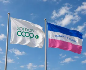 Imagem ilustrativa da imagem Cooperativismo atinge a marca de 1 milhão no Espírito Santo