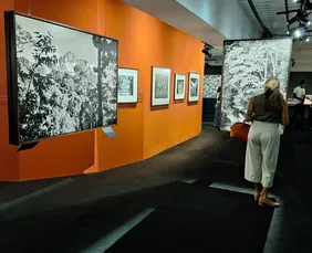 Imagem ilustrativa da imagem Exposição Amazônia ultrapassa 45 mil visitantes