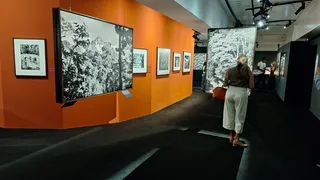 Imagem ilustrativa da imagem Exposição Amazônia ultrapassa 45 mil visitantes