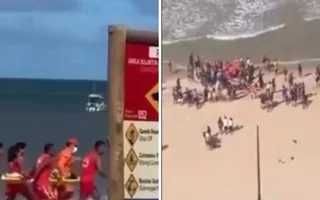 Imagem ilustrativa da imagem Menino de 11 anos é mordido por tubarão na Praia de Piedade, no Grande Recife
