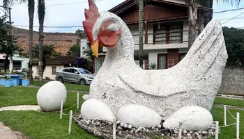 Casa na árvore, mirante e suíte em forma de garrafão. Veja onde se hospedar