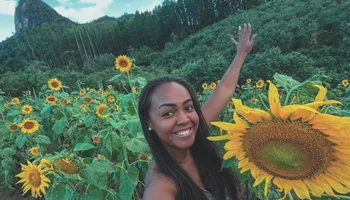 Point para selfies em meio aos parques de girassóis, lavandas e cerejeiras