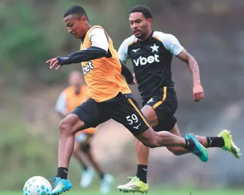 Imagem ilustrativa da imagem Botafogo mira controle da SAF após acusação de desvio de aporte ao Lyon