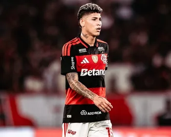 Imagem ilustrativa da imagem Carrascal soma expulsões, compromete Fla e vai se enrolar no STJD de novo