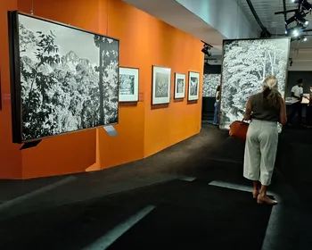 Imagem ilustrativa da imagem Exposição Amazônia ultrapassa 45 mil visitantes