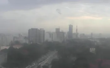 Imagem ilustrativa da imagem Defesa Civil emite alerta severo após rajadas de ventos em São Paulo
