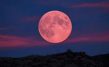 Imagem ilustrativa da imagem Lua de Morango: fenômeno poderá ser visto nesta segunda