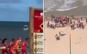 Imagem ilustrativa da imagem Menino de 11 anos é mordido por tubarão na Praia de Piedade, no Grande Recife