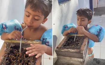 Imagem ilustrativa da imagem VÍDEO: Menino de Anchieta viraliza com estilo "raíz" de beber mel